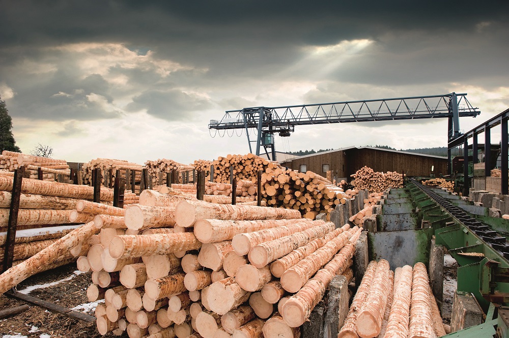 Введение с 1 июля 2021 года пошлин на вывоз сырой древесины