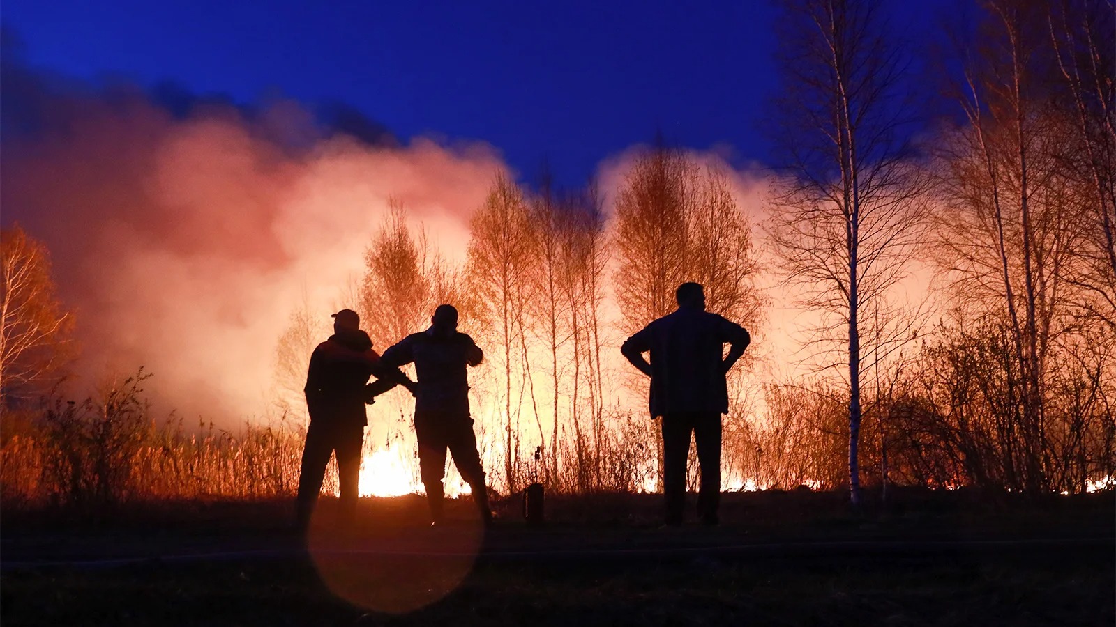Почему леса в Сибири и Калифорнии горят каждый год и будут продолжать гореть