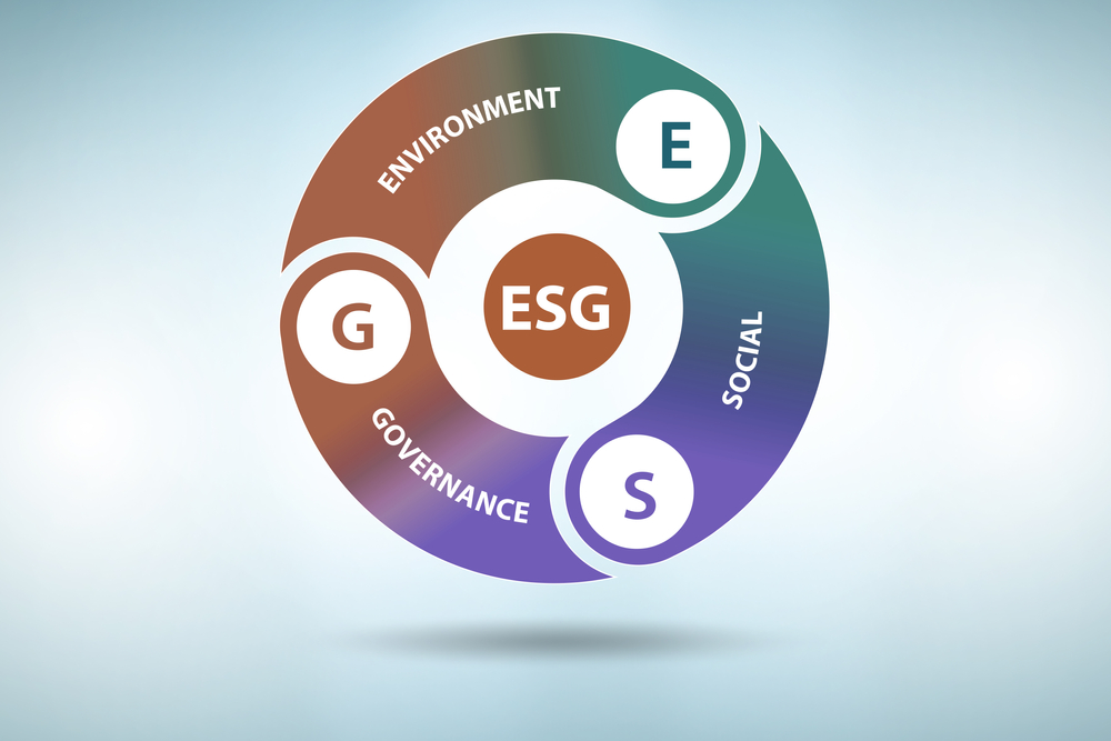 ESG-стратегия, особенности выбора